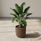 Detailfoto van Capi Nature Groove pot, groefstructuur, warm taupe, Ø17 cm