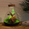 DIY Planten terrarium met licht - Sam Calathea - Met complete gereedschapsset