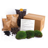 Planten terrarium navulling & startpakket - Maat L/XL