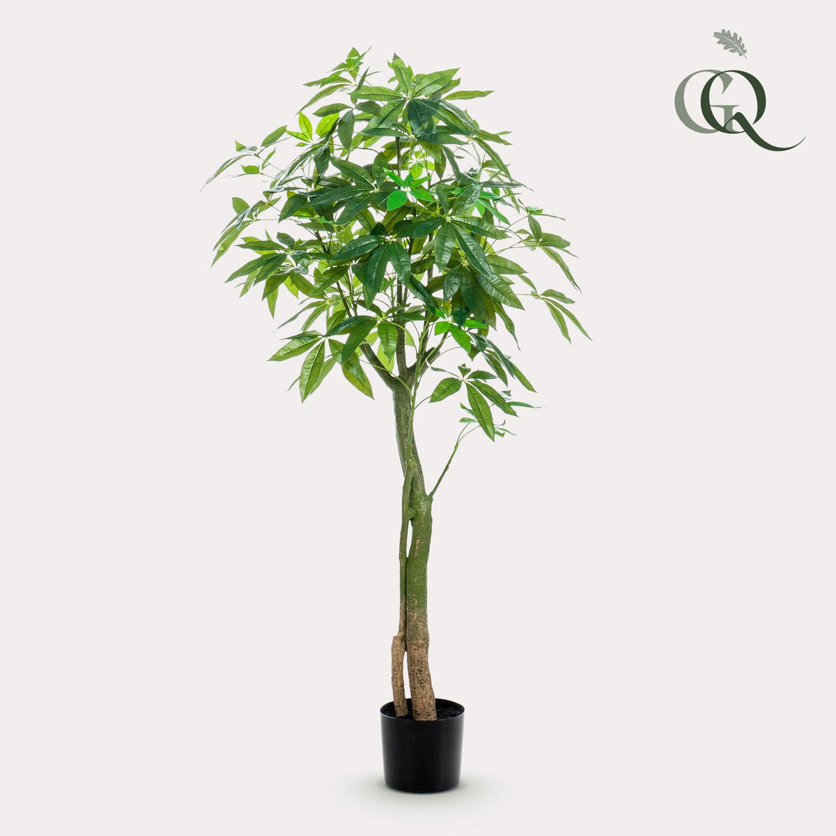 Productafbeelding van Pureplant