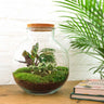 DIY Planten terrarium (met verlichting) - Bolder Bob - Met hark en schep
