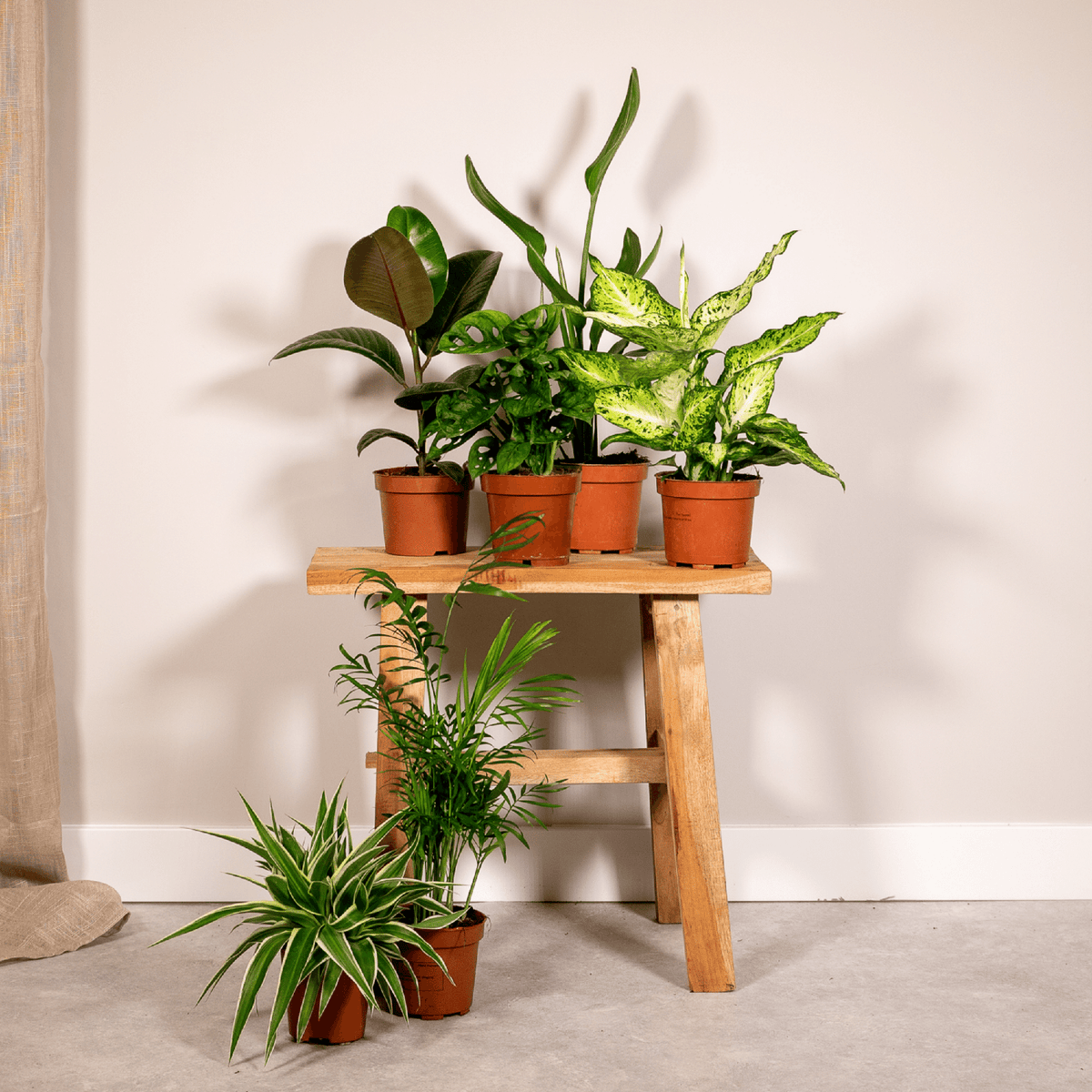 Productfoto van Verrassingsbox