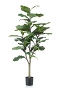 Productafbeelding van Pureplant