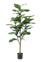 Productafbeelding van Pureplant