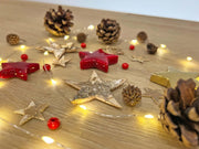 Kerst Terrarium Decoratiepakket