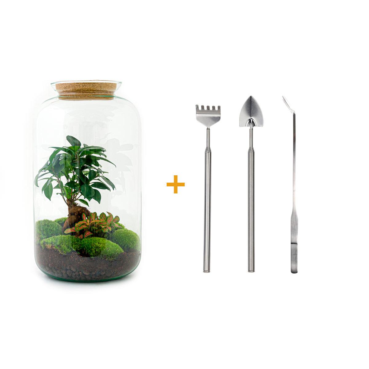 Detailfoto van DIY terrarium - Sven Bonsai - Met hark, schep en pincet