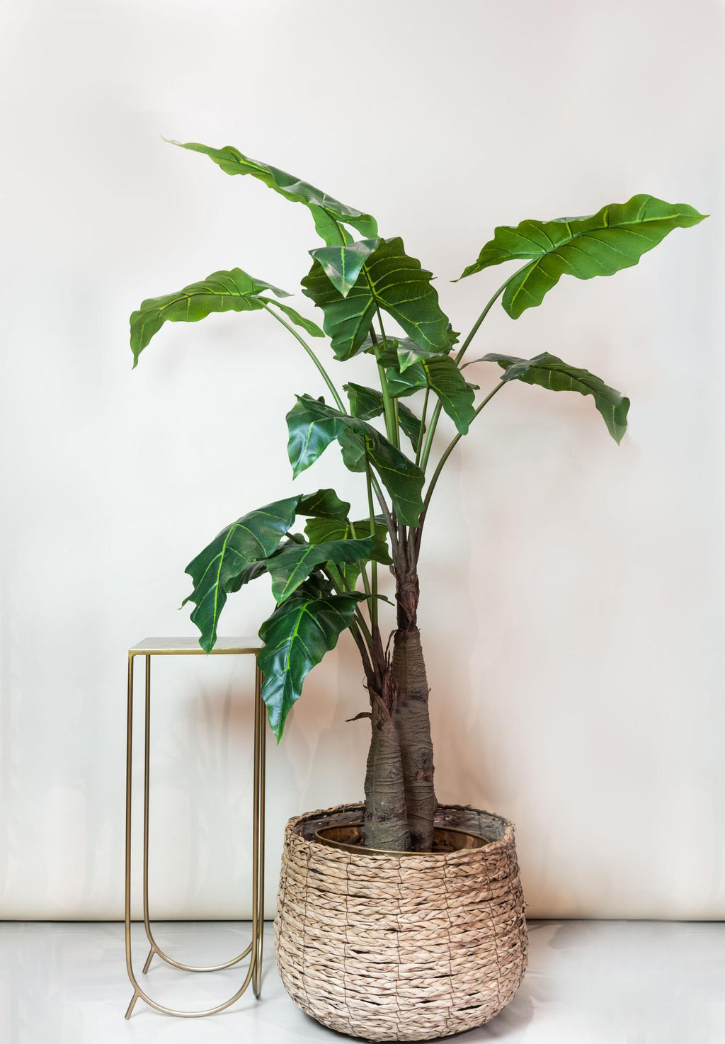 Kunstplant Alocasia, olifantsoor met pijlvormig blad, 180 cm, plant in pot