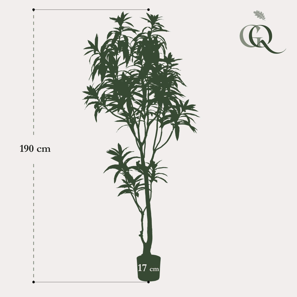 Productafbeelding van Pureplant