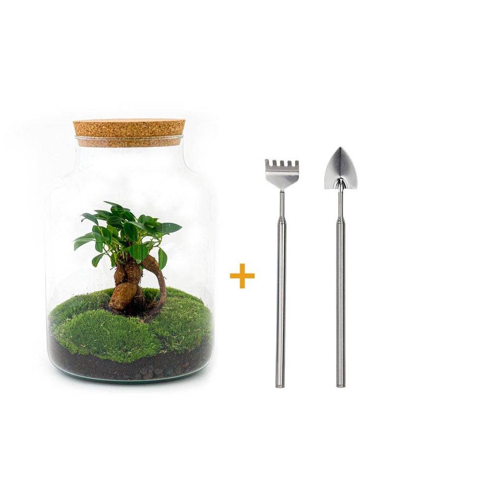 Detailfoto van DIY terrarium Milky Bonsai met licht, hark en schep