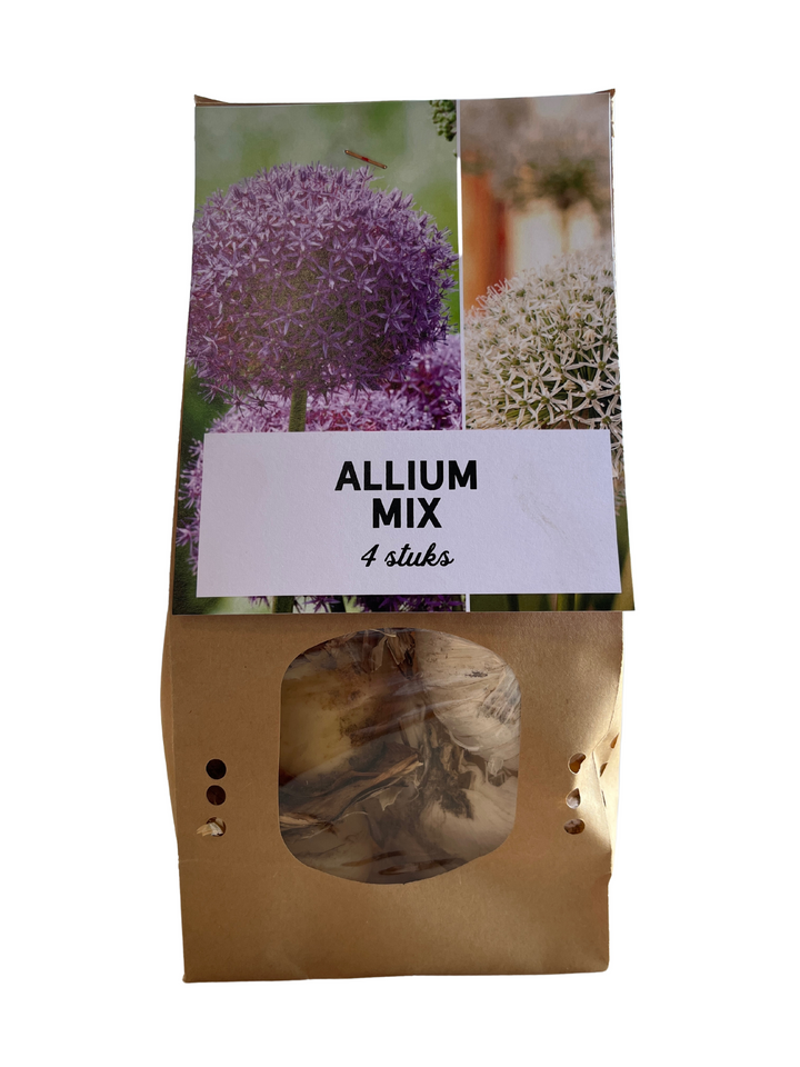 Allium mix, bloembollen voor bolvormige bloemen, 4 stuks