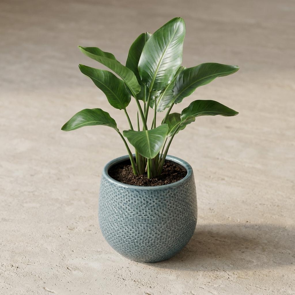 Pot Gabriel rond blauw, plant in pot