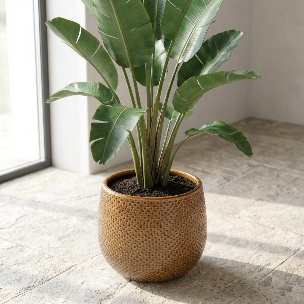 Pot Gabriel rond oker, kenmerkend blad