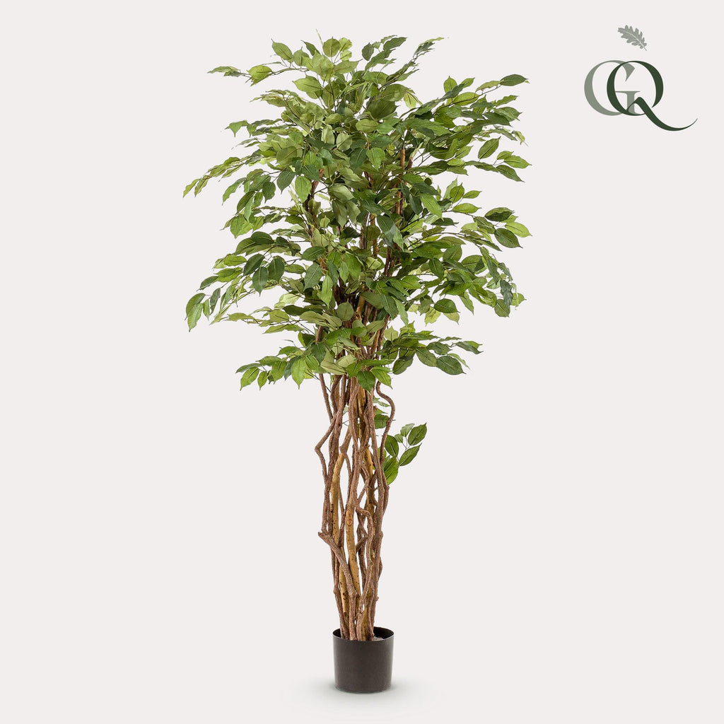 kunstplant - Ficus liana  - Vioolbladplant, plant in pot