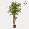 kunstplant - Ficus liana  - Vioolbladplant