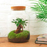 DIY Planten terrarium met licht - Milky Bonsai - Met hark, schep en pincet