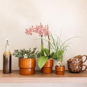 Kolibri Home Timeless sierpot - oranje - Ø9 cm
