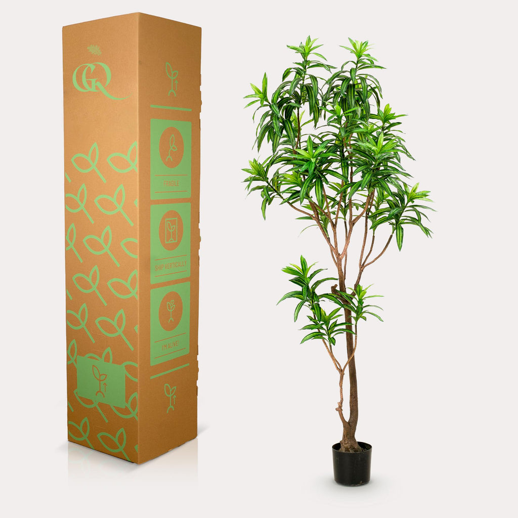 Productafbeelding van Pureplant