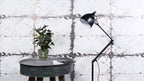 Productfoto van Anthurium Black Love In Transparant Sleeve