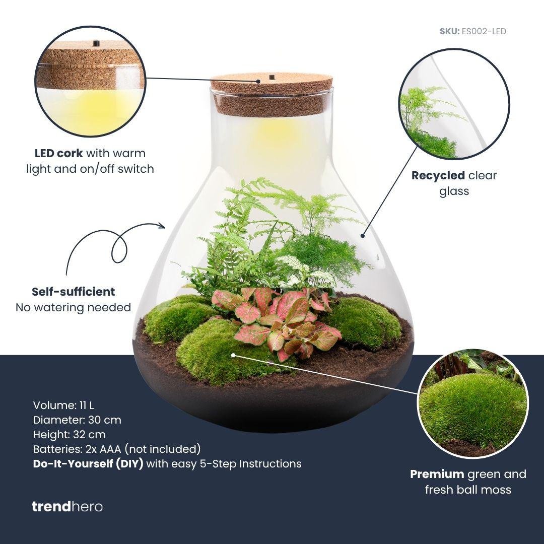 Detailfoto van DIY terrarium Sam XL Red met licht, zonder gereedschap
