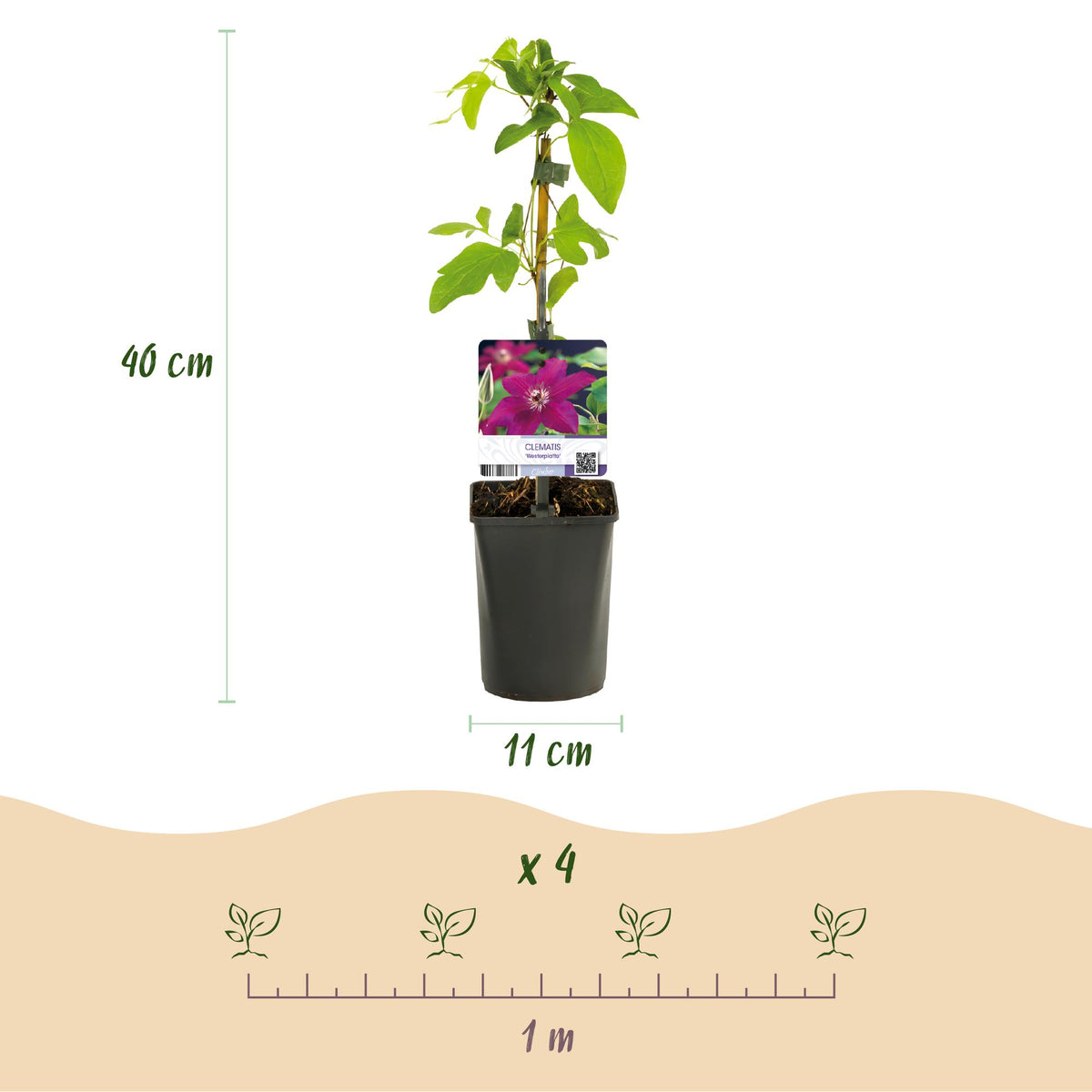 Productafbeelding van Pureplant