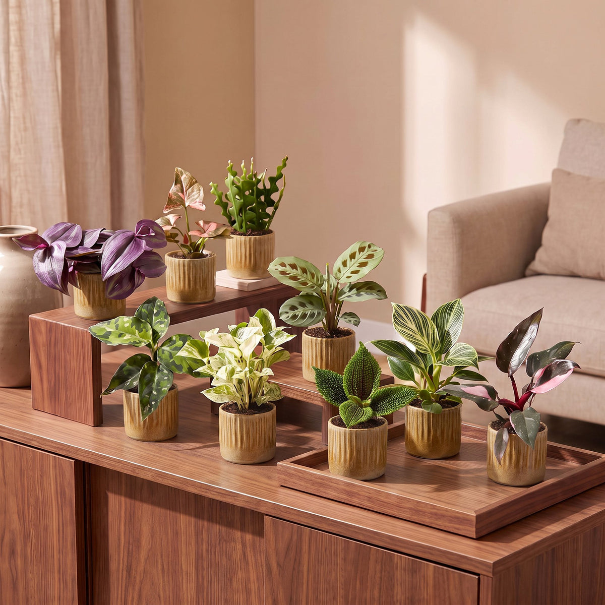 9x Baby Plants Surprise Box - Verrassingsbox kleine planten - Diversen - Tropisch - incl. Linnea Honey - Ø6cm - ↕5-15cm, kenmerkend blad