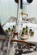 Kunst mini vetplanten in cementen pot - Succulent mix set 6, plant in pot
