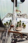 Kunst mini vetplanten in cementen pot - Succulent mix set 6