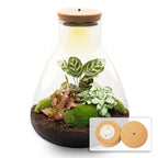 Productafbeelding van Pureplant