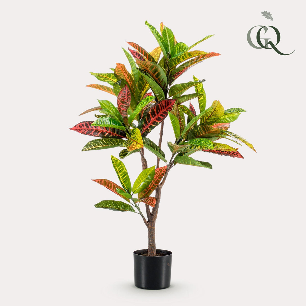 Productafbeelding van Pureplant