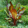 6x Bananen plant