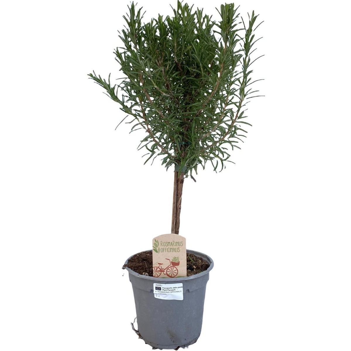 Productafbeelding van Pureplant