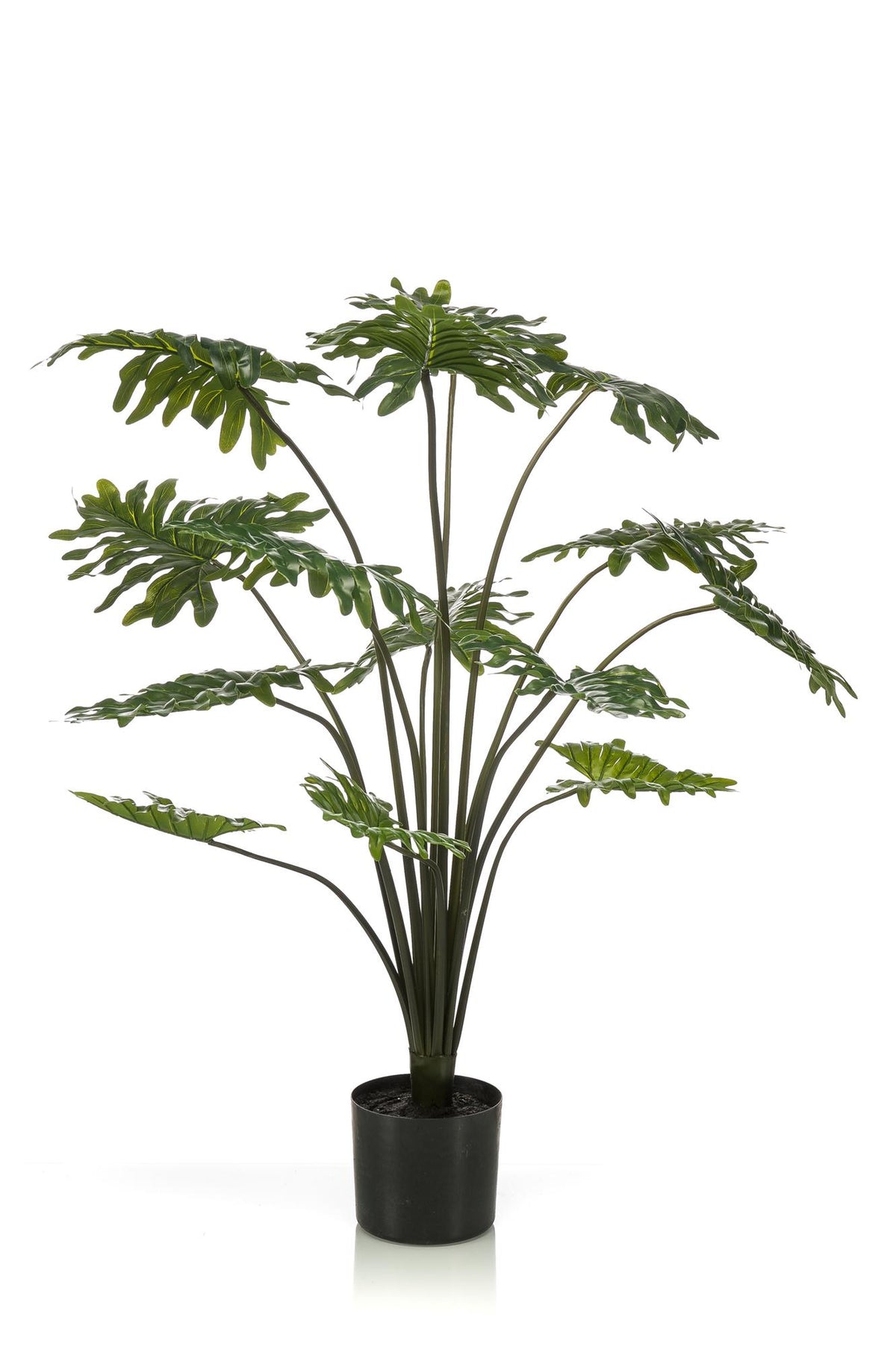 Productafbeelding van Pureplant