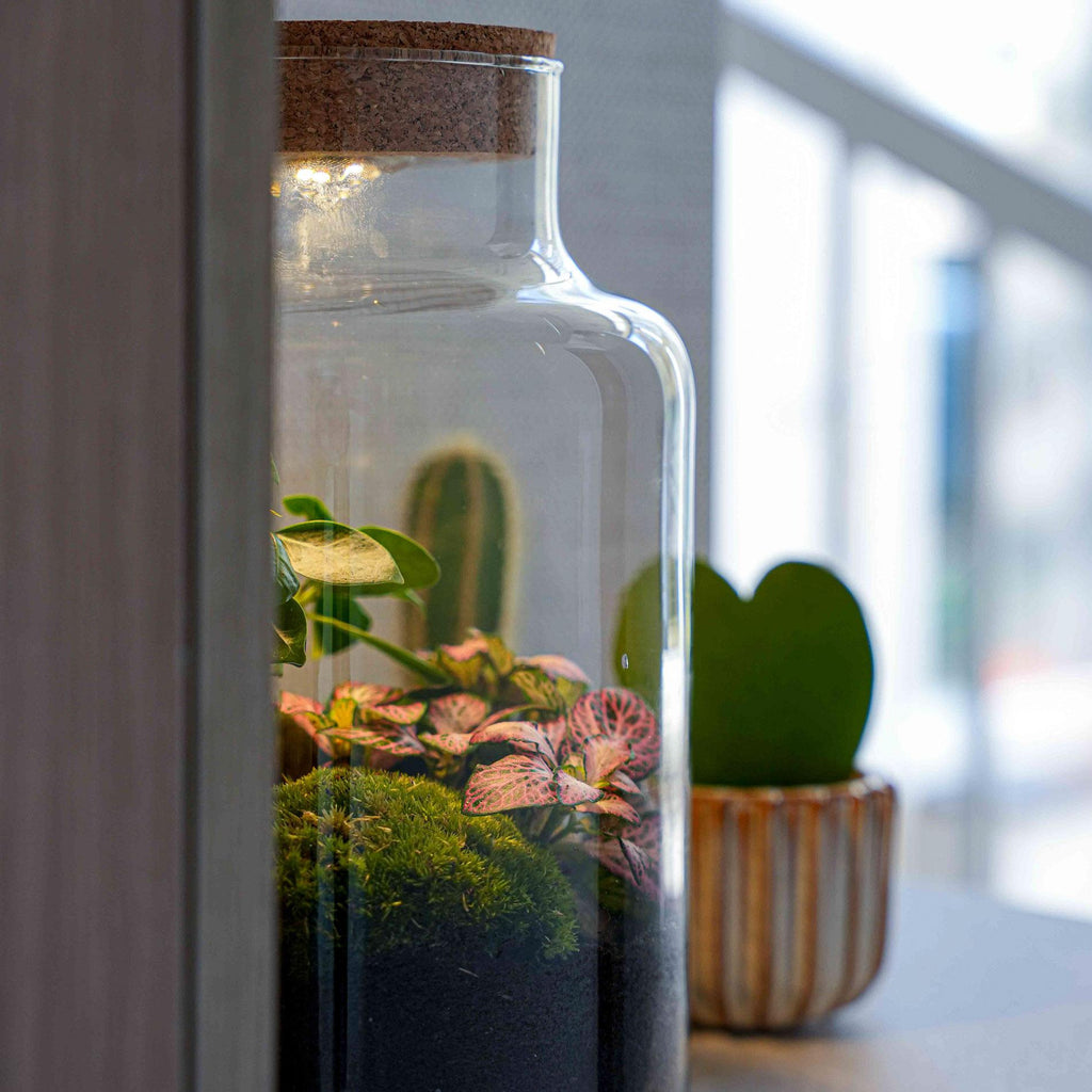 Terrarium Little Milky 'Love Mom', gegraveerde kurk en licht, detail van het blad