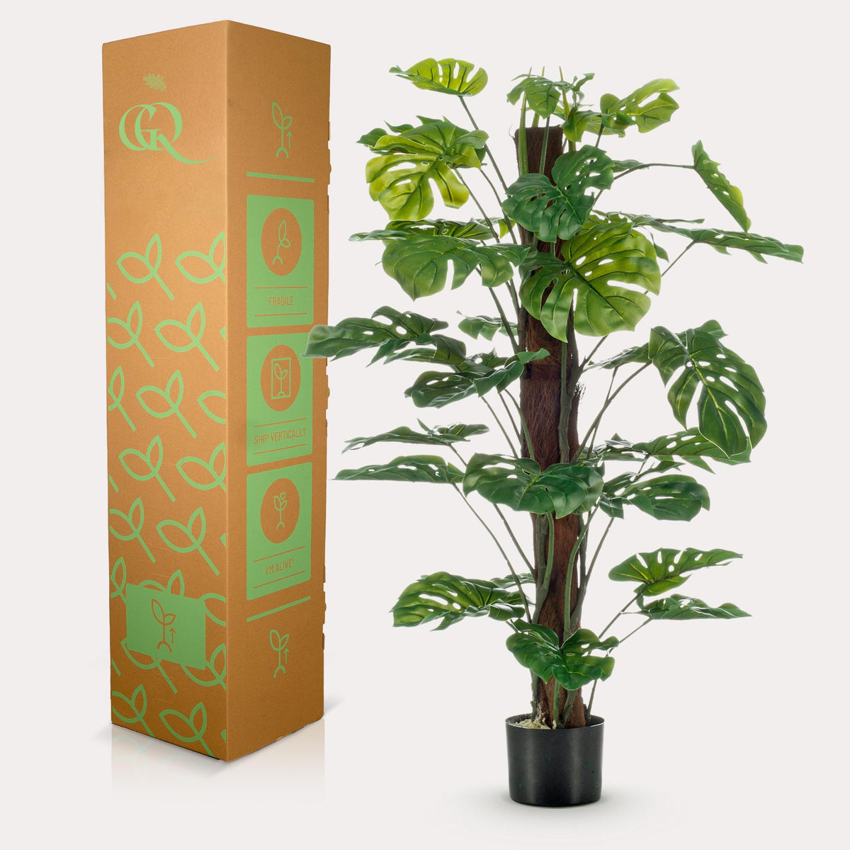 Productafbeelding van Pureplant