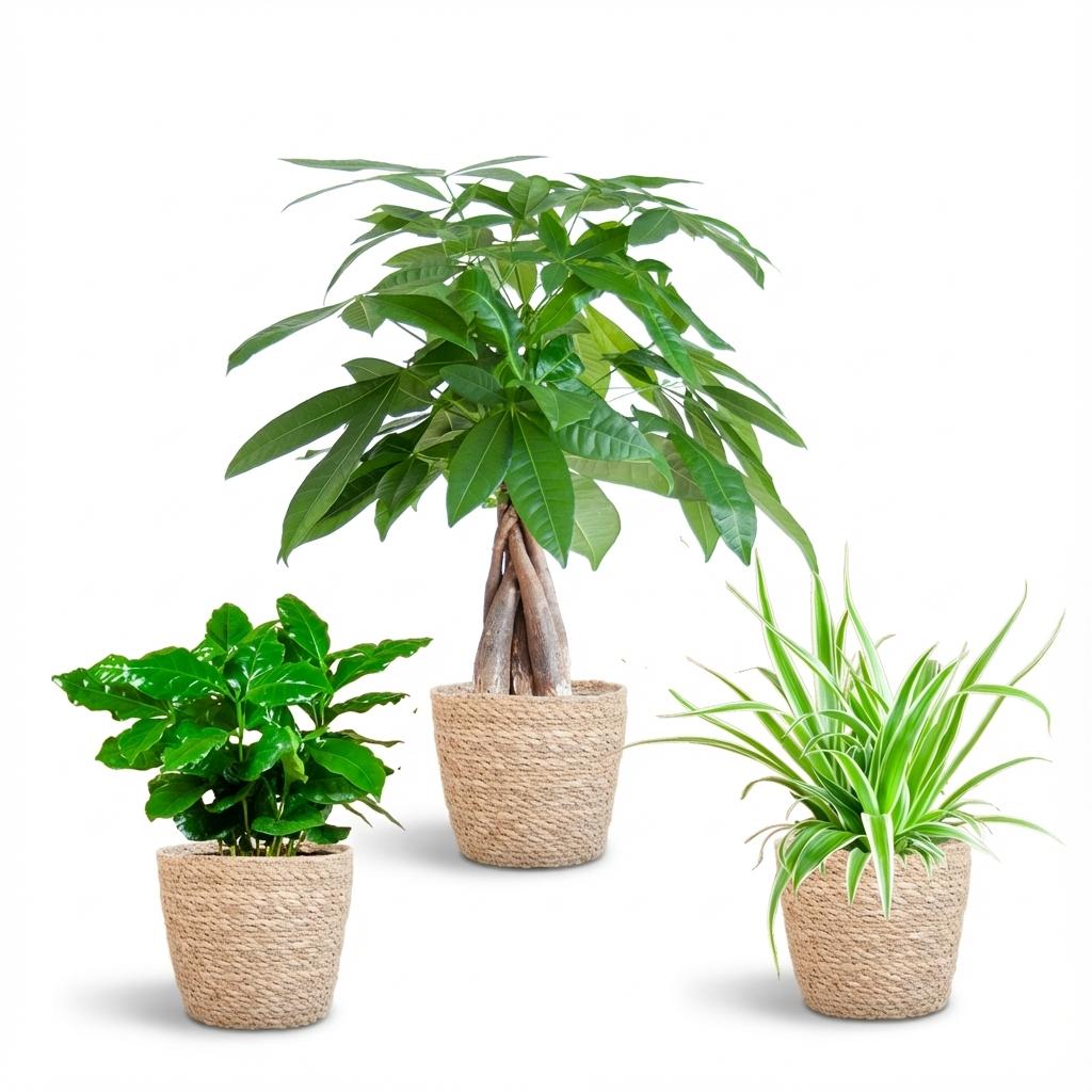 Diervriendelijke plantenbox klein, mand van zeegras naturel, detail van het blad