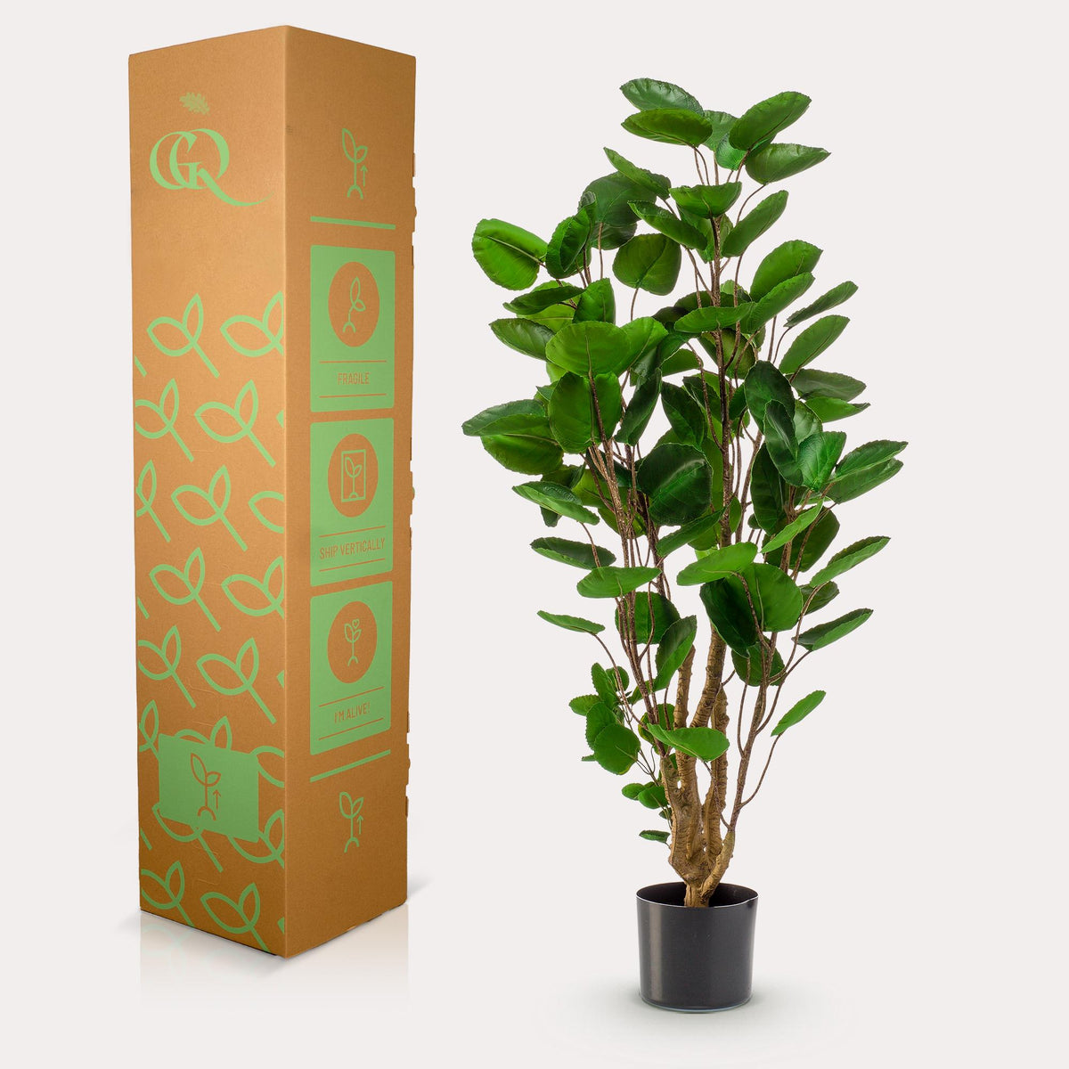 Productafbeelding van Pureplant