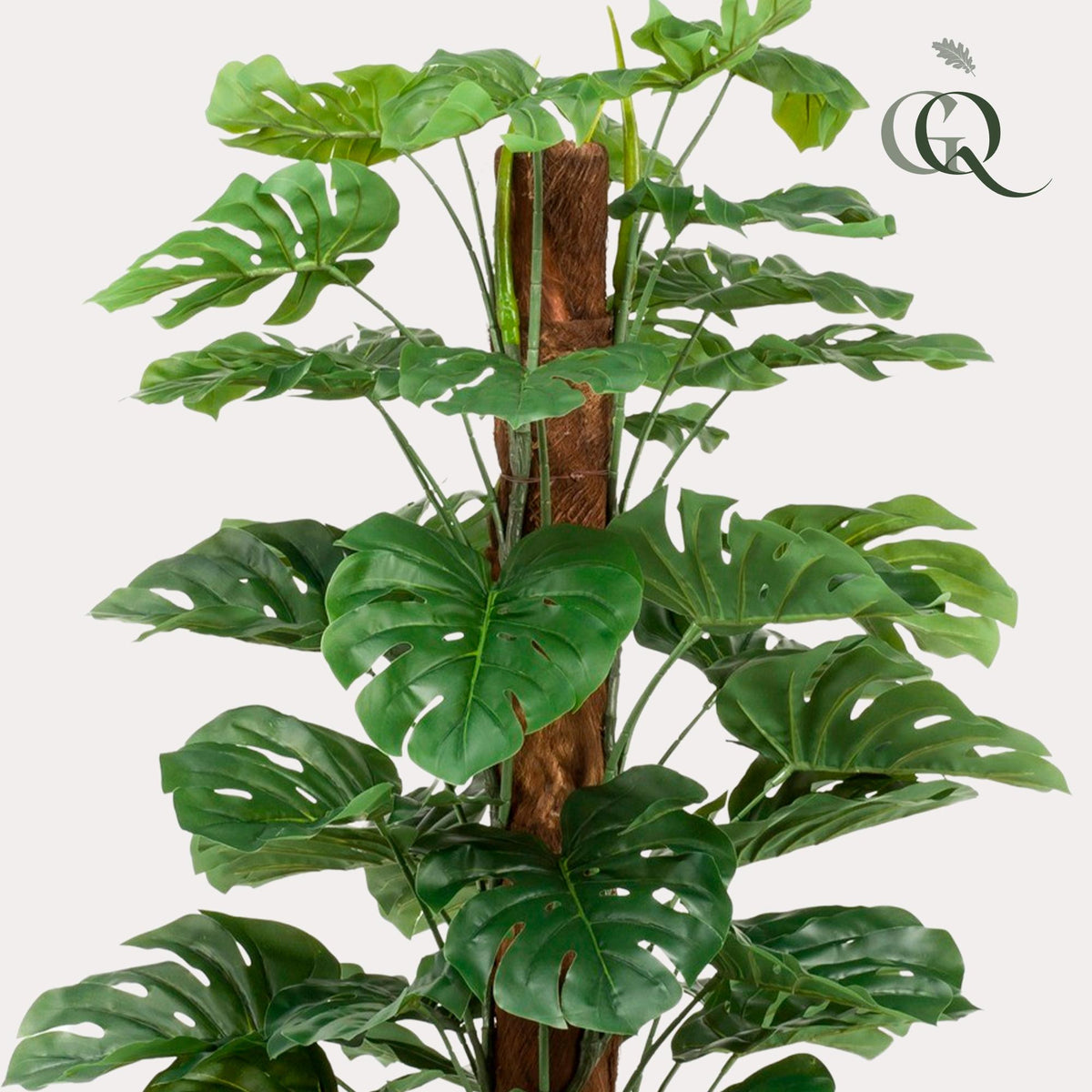 Productafbeelding van Pureplant