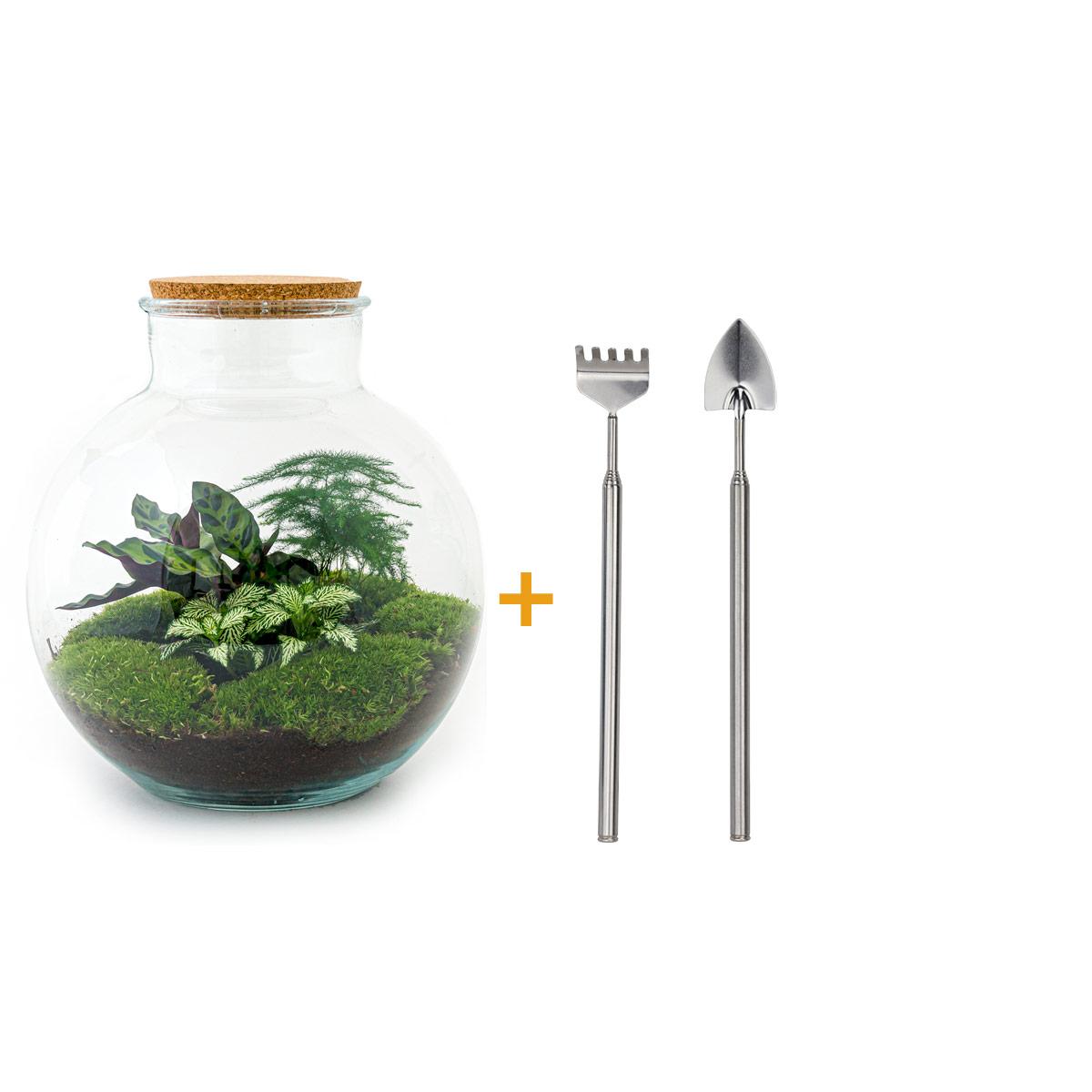Detailfoto van DIY terrarium Bolder Bob met licht, hark en schep