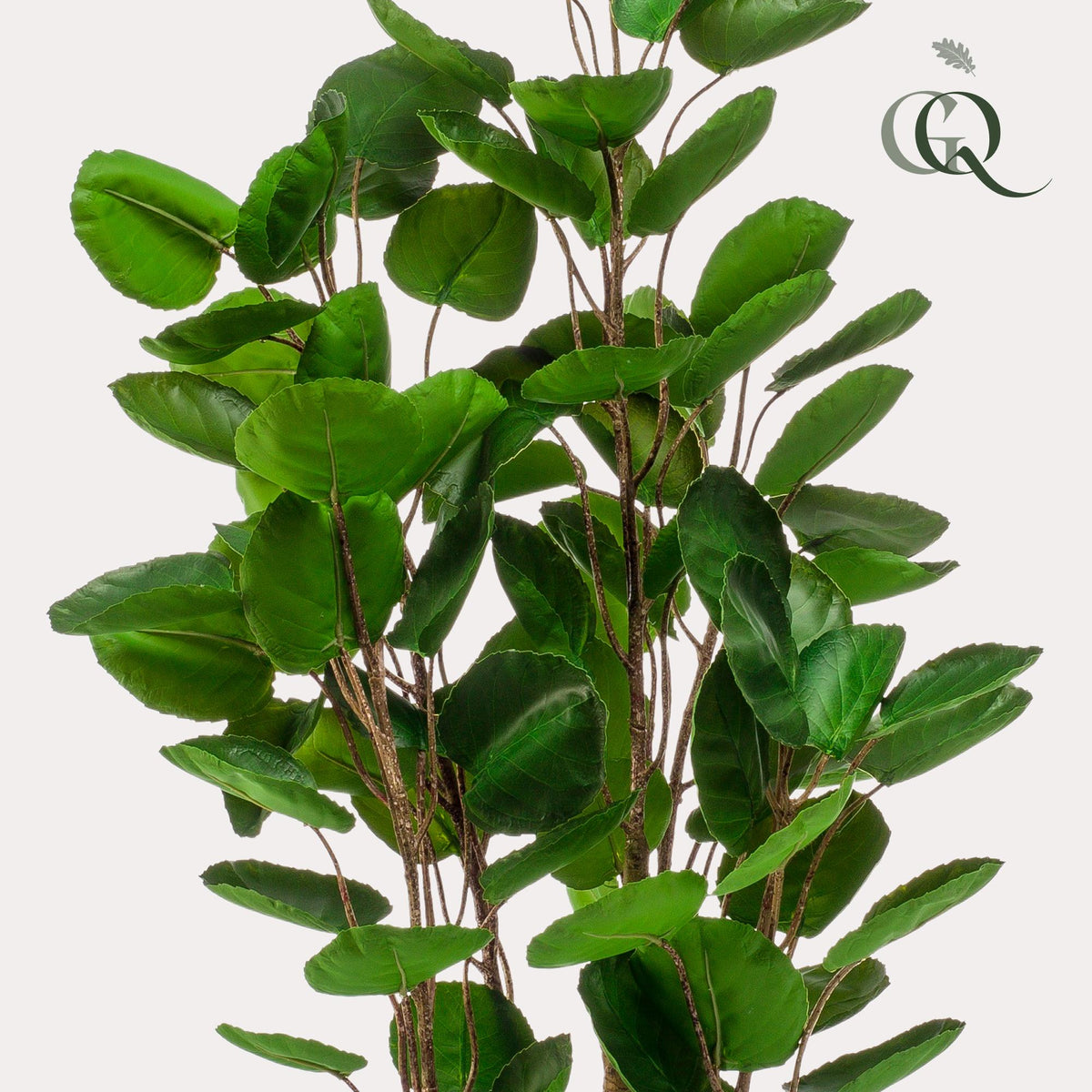 Productafbeelding van Pureplant