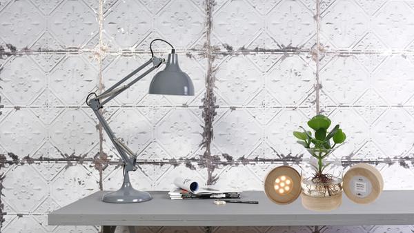 Clusia in Kingston Glas + LED | Potmaat Ø12cm | Hoogte ↕30cm