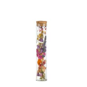 Droogbloemen | Set van 6 stuks | Hoogte ↕15cm