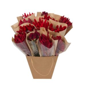 Droogbloemen | Rood | Hoogte ↕50cm