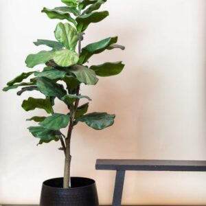 Kunstplant Ficus lyrata | Hoogte 125cm
