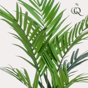 Kunstplant Kentia | Hoogte 180cm