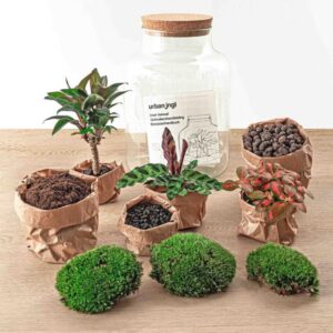 DIY terrarium - Milky Palm | Hoogte ↕30 cm