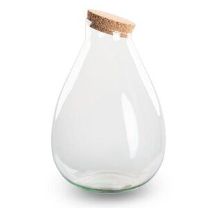 Terrarium fles met kurk | Gesloten terrarium | Drop XL | ↑37 cm