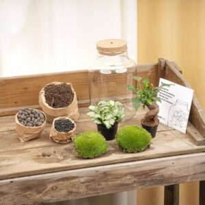 Planten terrarium | Little Milky + Led lamp | Hoogte ↕25cm